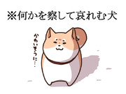 ※何かを察して哀れむ犬