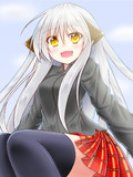 わんこ