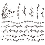 植物の素材いろいろ