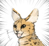 わーい！