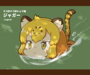 ジャガーはネコ科では珍しく、泳げるんだ