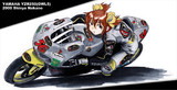 YAMAHA YZR250