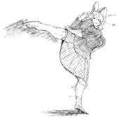 回し蹴り偽HSI姉貴