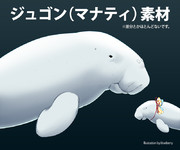 ジュゴン(マナティ)素材
