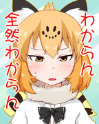 わからんジャガーさん