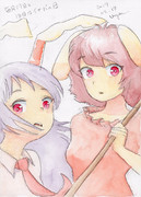 毎月17日と18日はイナバの日「あれ？」