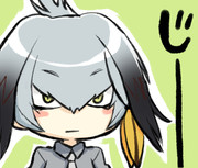 ハシビロコウさん