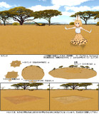 MMD配布：サバンナ