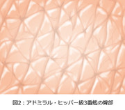 オイゲンさんのおしりアップ。