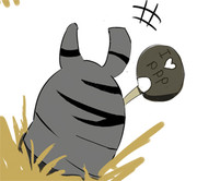 ppp のライブを観に来たしまうま