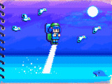 海