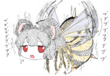 NYN蜂２