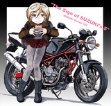 SUZUKI GOOSE350