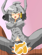 胴上げされしハシビロコウ