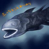 シーラカンス