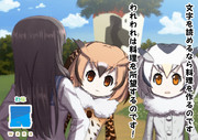 文字を読んでジャパリ図書館に来た磯風に料理を作らせようとする博士たち