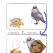 インカアジサシ ニコニコ静画 イラスト
