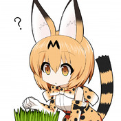 コウノトリ けものフレンズ ニコニコ静画 イラスト