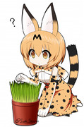猫草とサーバル