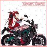 YAMAHA XSR900 "XS-V1 Sakura" color
