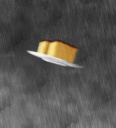 雨の中を飛行するカステラ