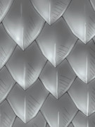 ぴゃっぴゃっ(東方紅地剣)