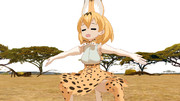 （私はサーバル。この辺は私の縄張りなの。＞（￣３￣）