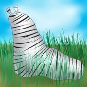 サバンナシマシマオオナメクジ