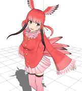 ショウジョウトキさん作る