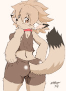 本日のﾄﾞﾜﾁｬﾝ