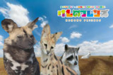アンニュイフレンズ
