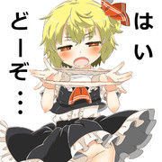 今日のルーミア