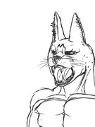 サーバルっぽいの。