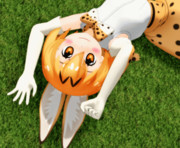 【GIFアニメ】サーバルちゃんグーパー【MMDけもフレ】