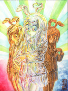 マテリアルHSIズ