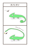 カメレオン