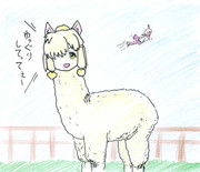 アルパカ・スリちゃん（野生解放)