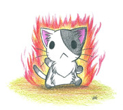 アッツいにゃんこ