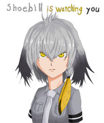 こちらをじっと見ている