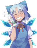 綺麗な日焼けしたチルノ