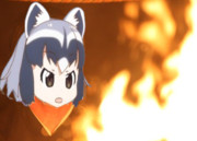 護摩行するアライさん