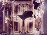 Lexi Phone Background