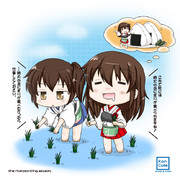 田植えの季節。