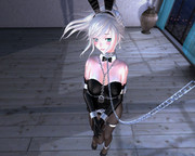 シャックル & チェイン