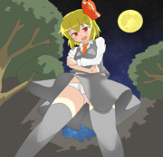 転んだ先のルーミア