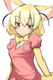 フェネックはアライさんが大好き可愛い