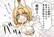 夜行性のフレンズ