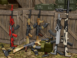 AK Custom