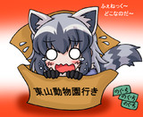 東山のアライさん