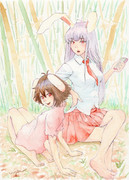 毎月17日と18日はイナバの日「竹林にて」